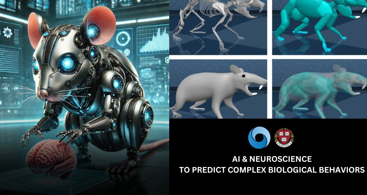 Google DeepMind and Harvard Create AI-Driven Virtual Rat to Investigate Neural Dynamics of Movement